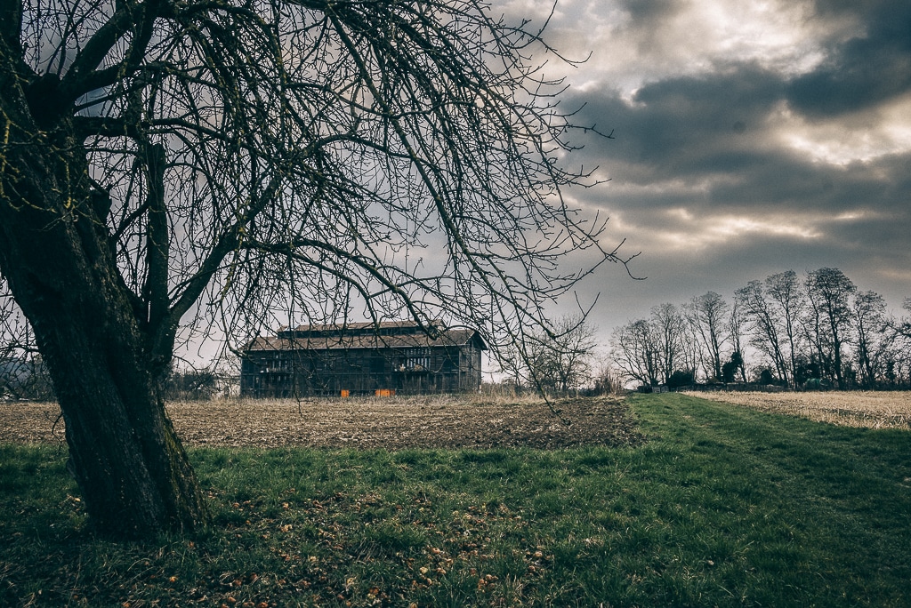 Blick auf eine Tabakscheune
