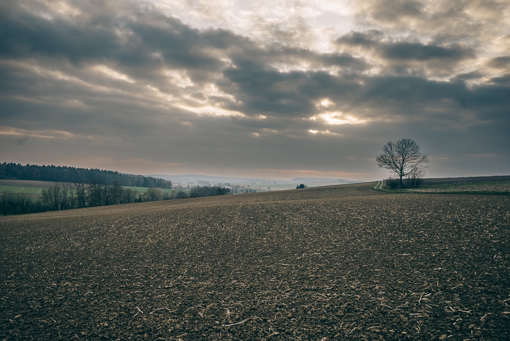 Der Blick über Felder hinweg in den Kraichgau