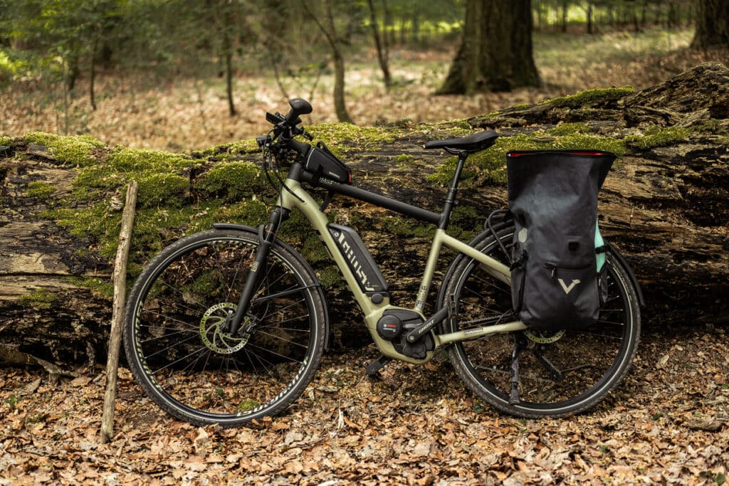 Ein Fahrrad lehnt an einem alten Baumstamm