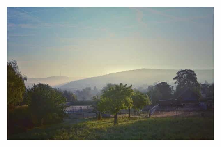 Am Ende des Sommers