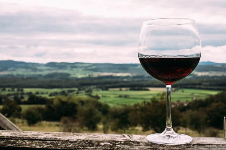 Ein Glas Rotwein auf einem Geländer. Der Blick geht in die Weite