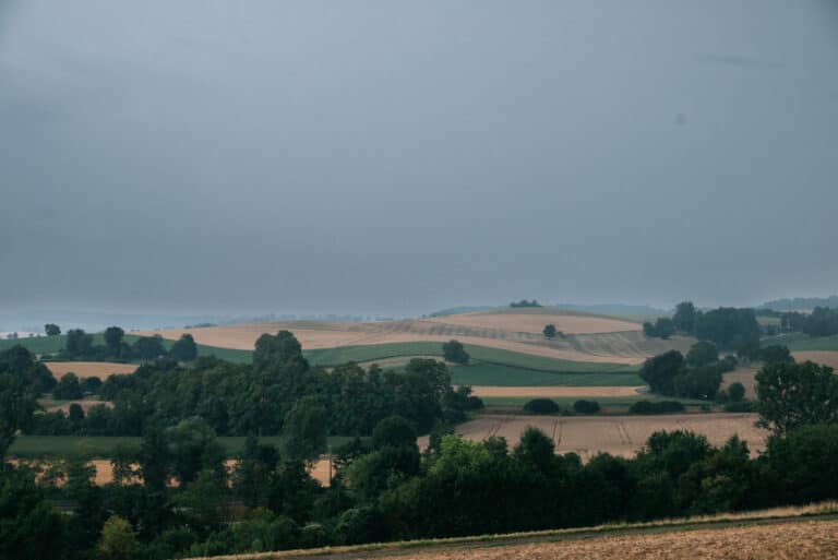 Viel Regen, viel Wein
