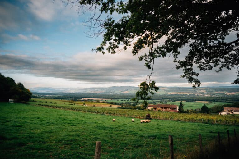 Innehalten – Le bon moment