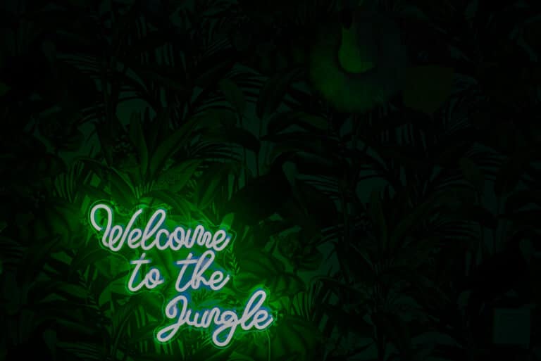 Willkommen im Dschungel